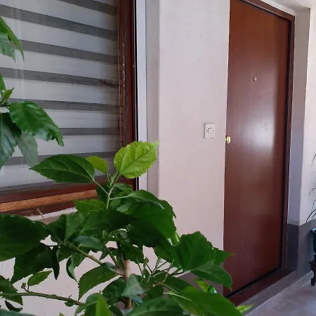 Lotus Apartment